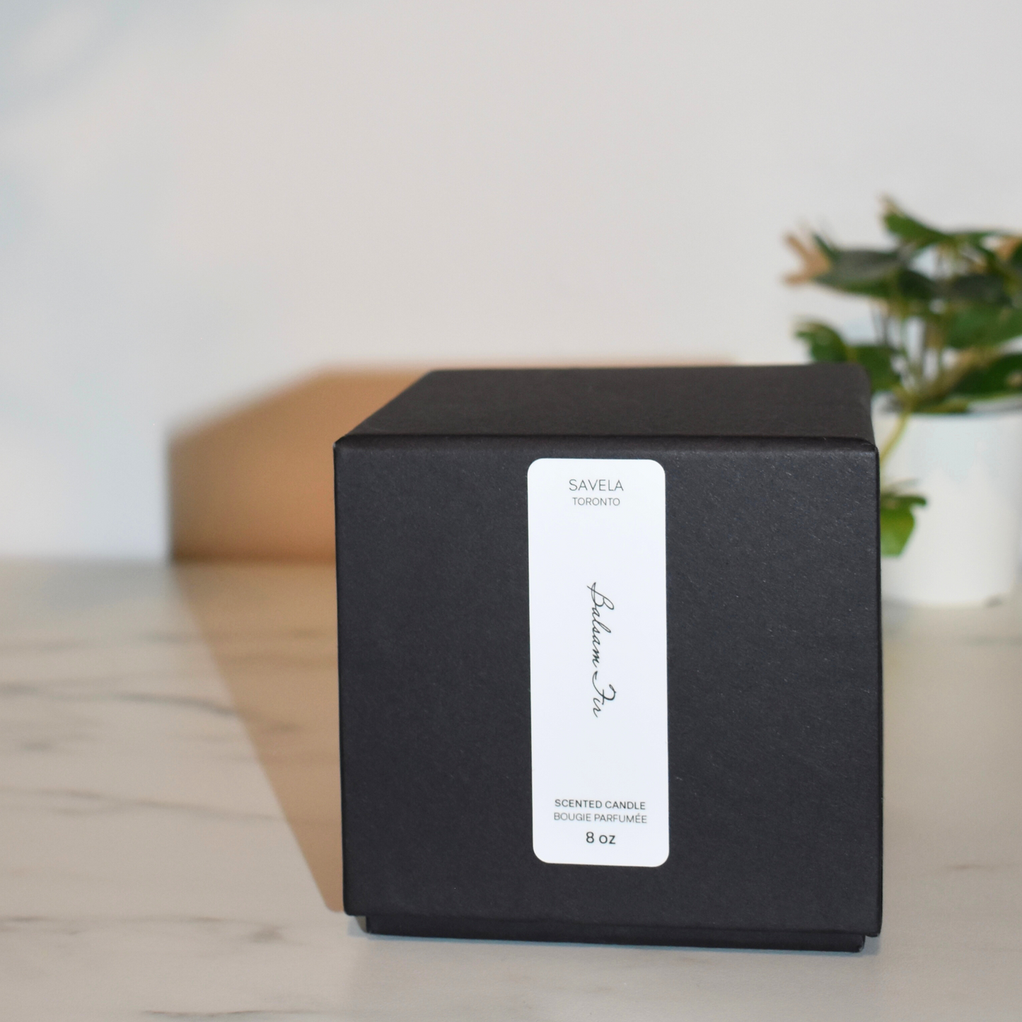 Balsam Fir Soy Candle